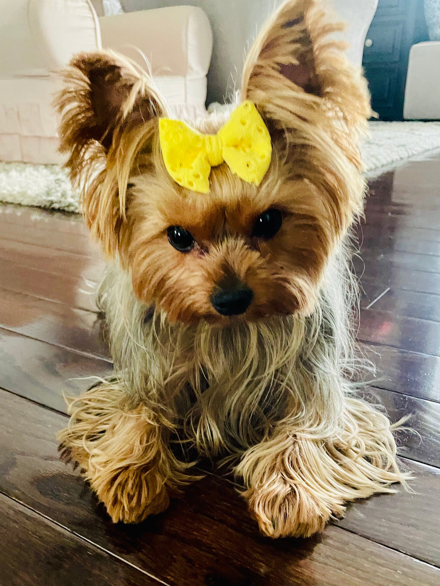 Sunshine Yellow Eyelet Bows + Headwraps