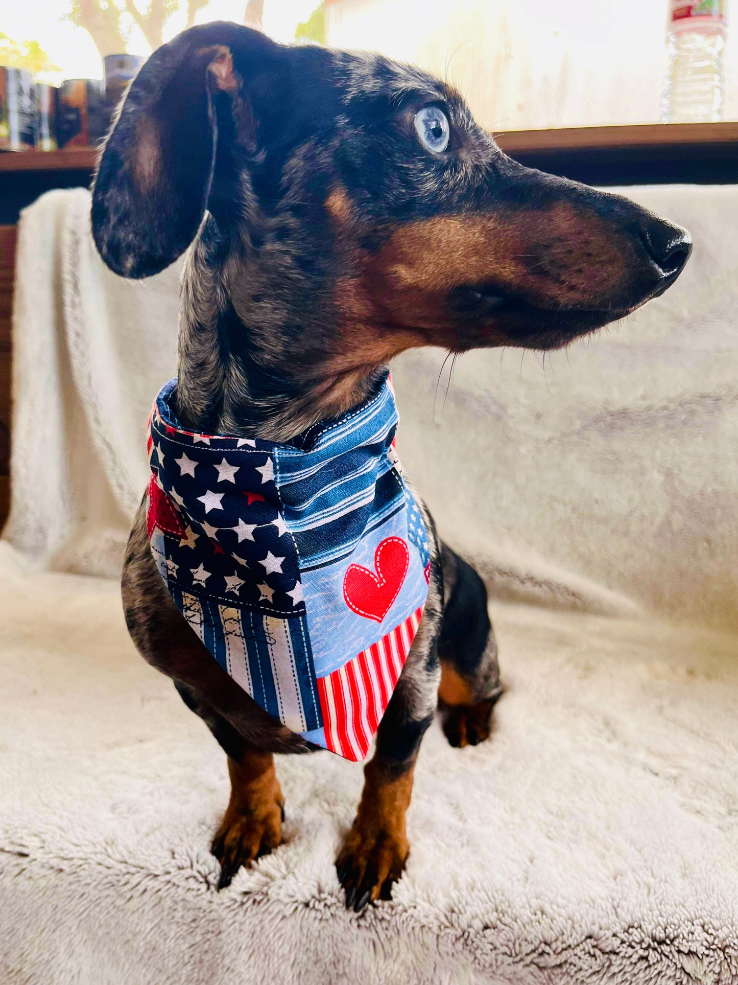 Patriotic Quilt Reversible Pet Bandana *Optional Personalization