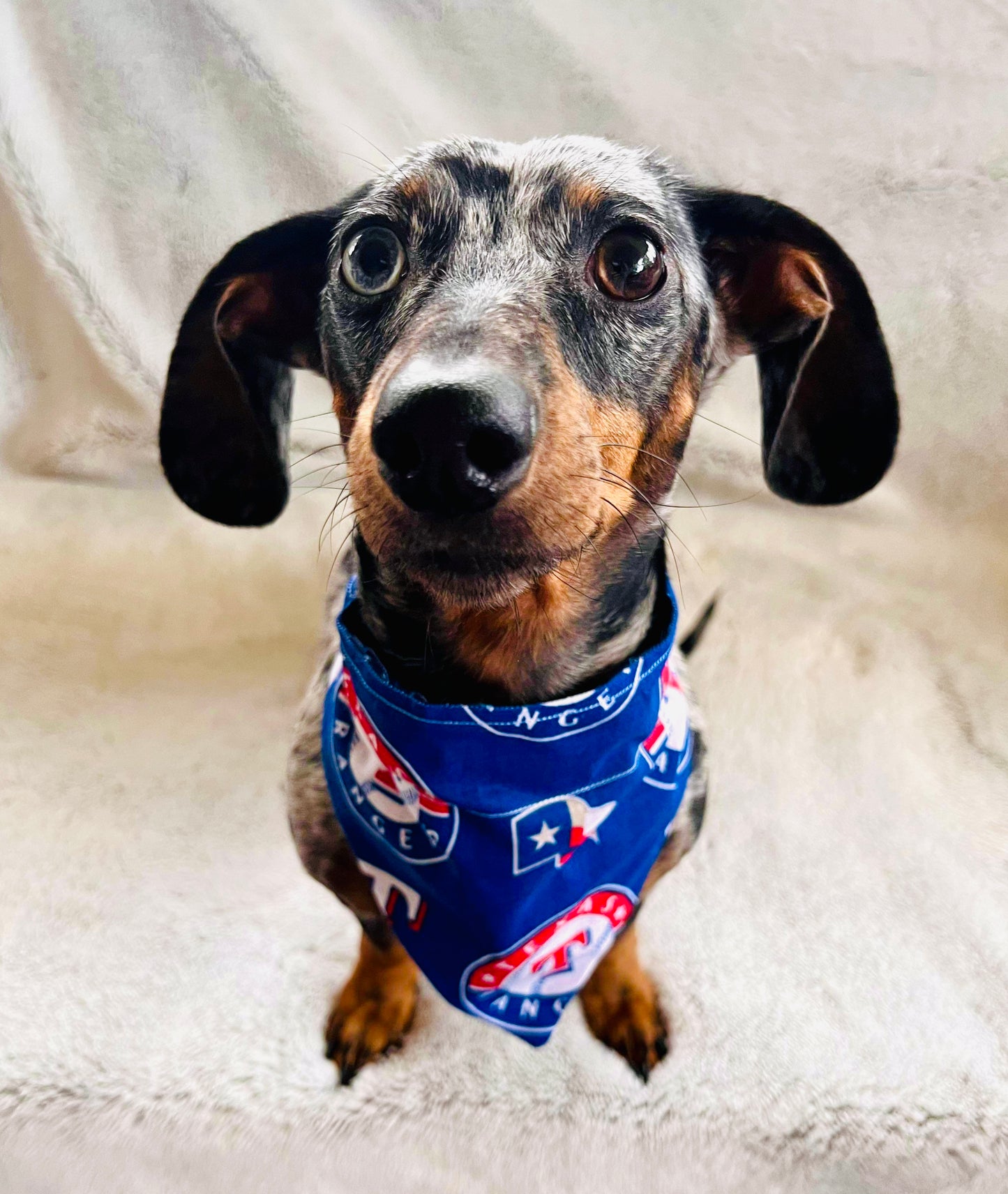 Tex Rangers Reversible Pet Bandana *Optional Personalization