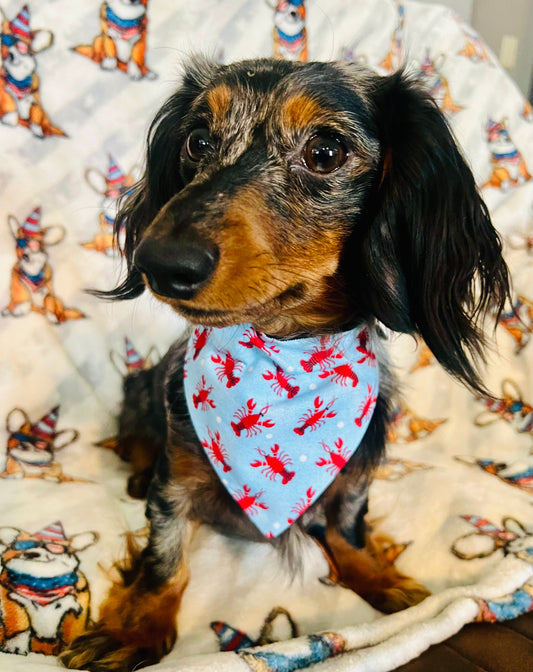 Crawfish Reversible Pet Bandana *Optional Personalization