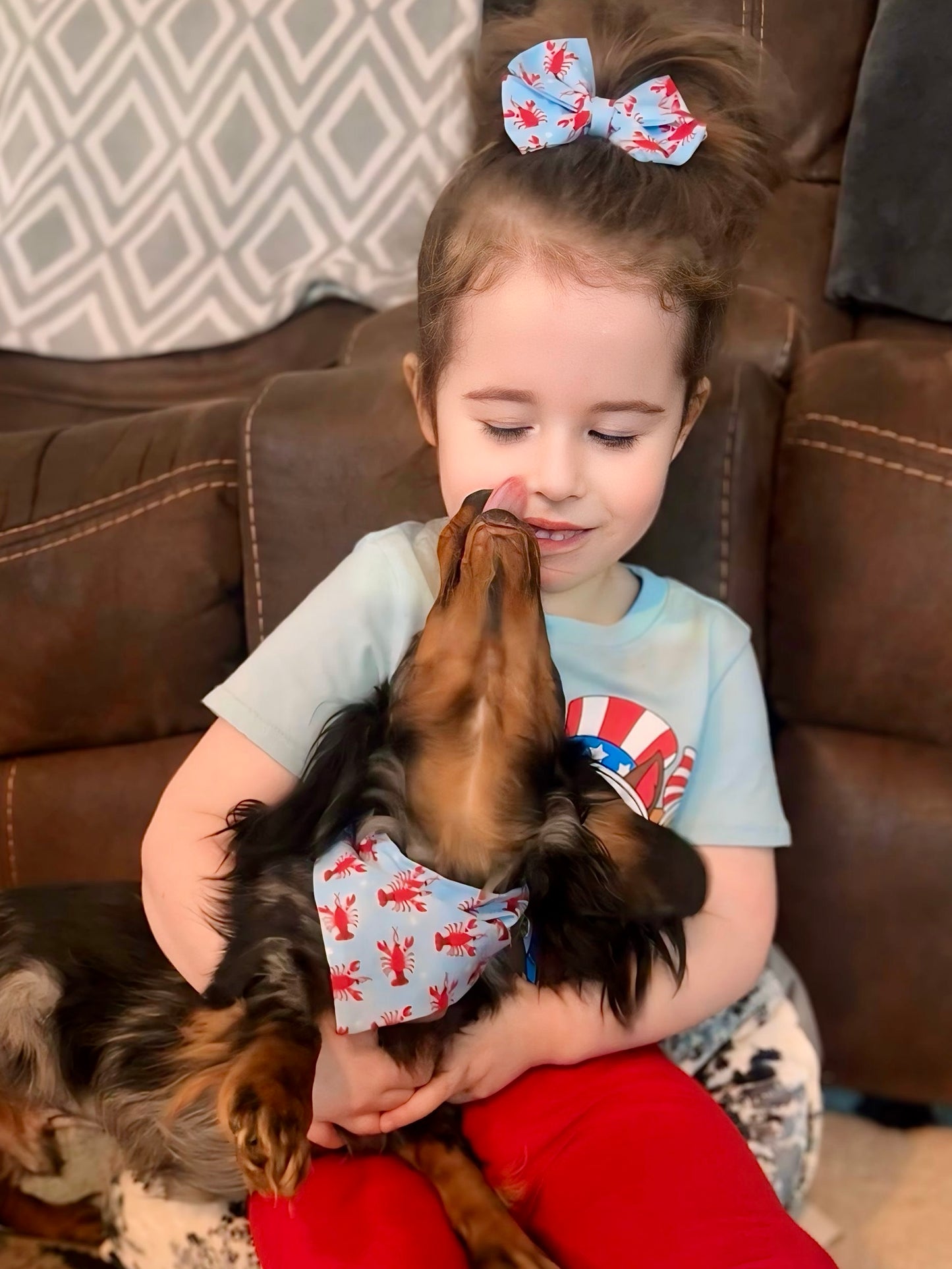 Crawfish Reversible Pet Bandana *Optional Personalization