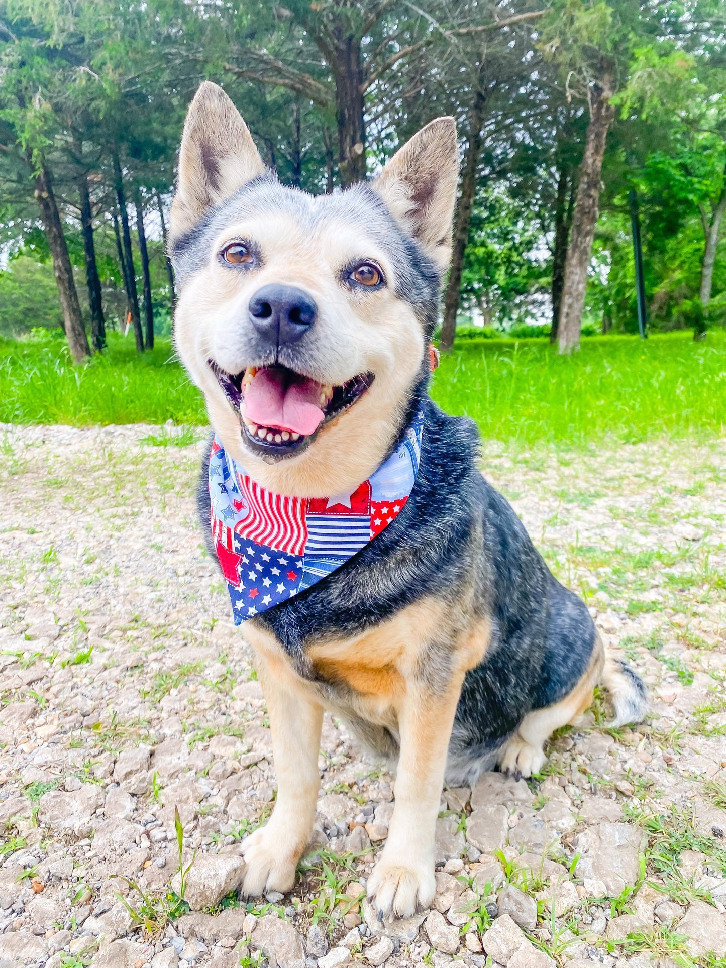 Patriotic Quilt Reversible Pet Bandana *Optional Personalization