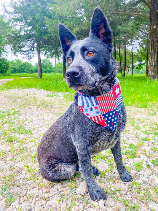 Patriotic Quilt Reversible Pet Bandana *Optional Personalization