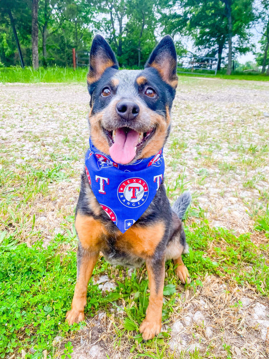 Tex Rangers Reversible Pet Bandana *Optional Personalization