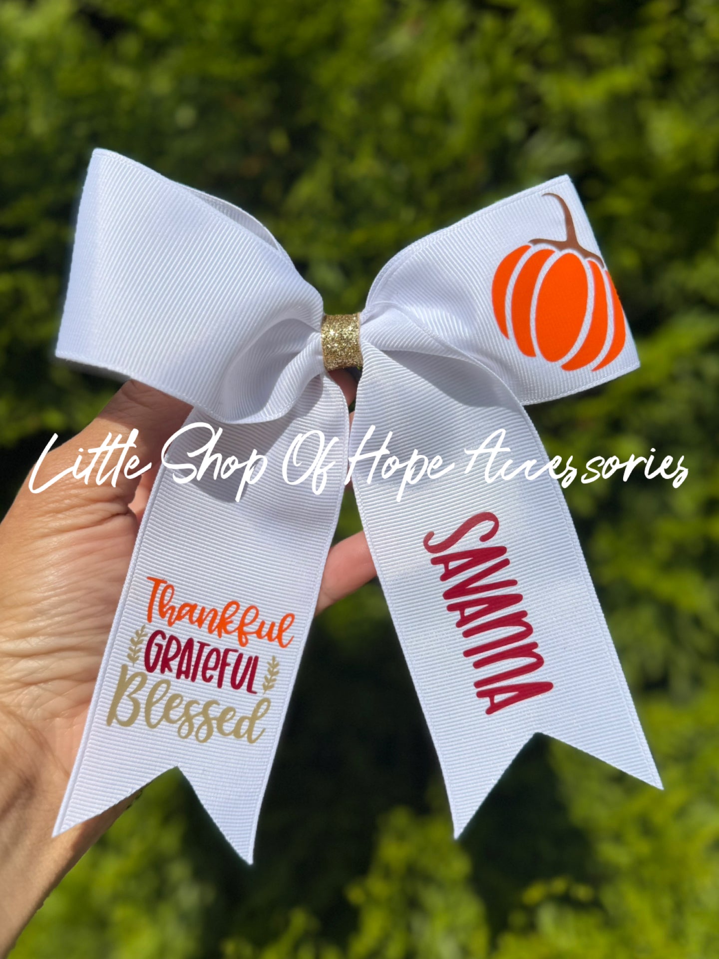 Thanksgiving Long Tail Ribbon Bows